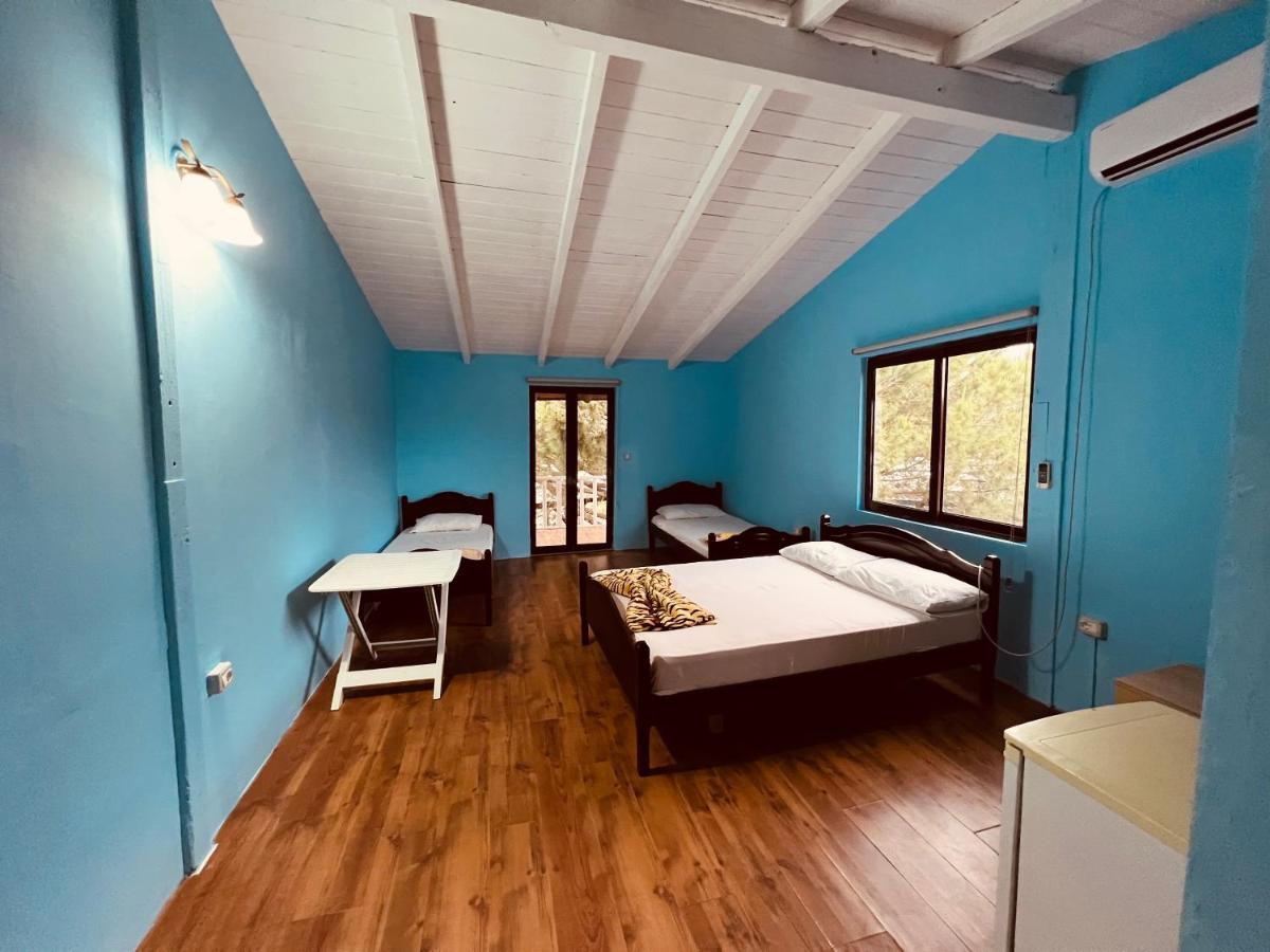Favela Chic Room Plazhi San Pietro ภายนอก รูปภาพ